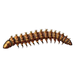 Ancient Centipede Fossil PNG 05242024 PNG