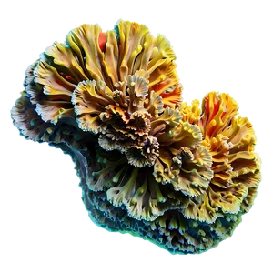 Ancient Coral Formation PNG 05242024 PNG