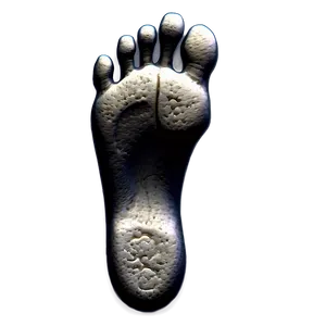 Ancient Footprints PNG Dod40 PNG