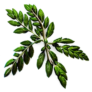 Ancient Herb PNG 7