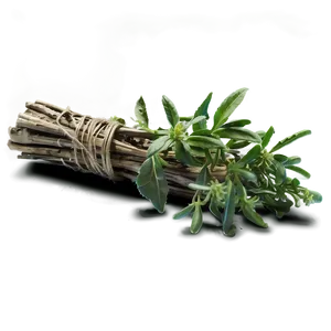 Ancient Herb PNG Onb63