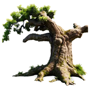 Ancient Oak Tree PNG 06122024 PNG