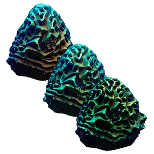 Ancient Reef Formations PNG Ntf