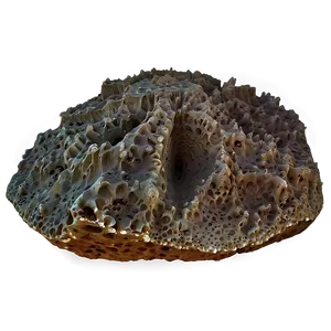 Ancient Reef Formations PNG Ric