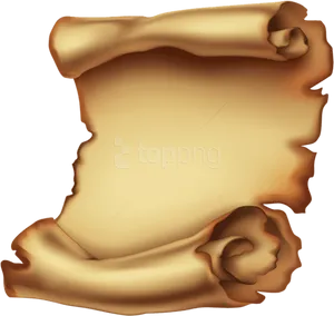 Ancient Scroll Illustration PNG image