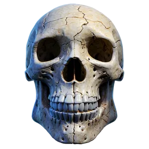 Ancient Skull Concept PNG A