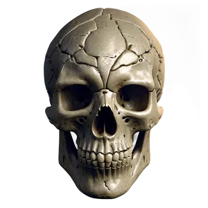 Ancient Skull Concept PNG B