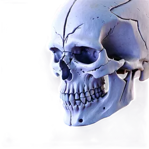 Ancient Skull Concept PNG C