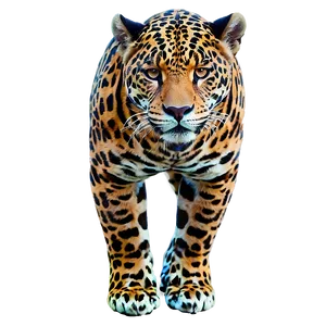 Ancient Spirit Jaguar PNG Dpl34 PNG