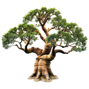 Ancient Tree Top View PNG 94