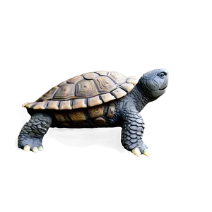 Ancient Turtle Statue PNG Nhr48 PNG