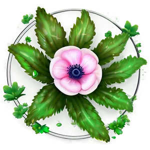Anemone Flower Circle PNG Tpw27 PNG