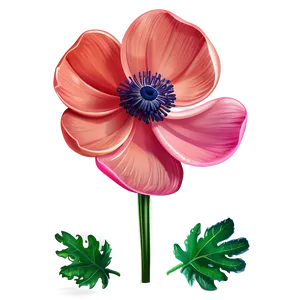 Anemone Flower Illustration PNG 05252024 PNG