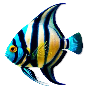 Angel Fish Transparent Png 05262024 PNG image