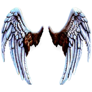 Angel Wings C PNG