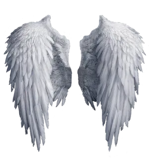 Angel Wings Isolatedon Black PNG image