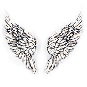 Angel Wings With Feathers PNG 50 PNG