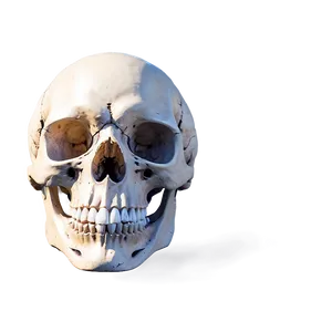 Angelic Skull Art Png D PNG image
