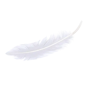 Angelic White Feather Png Feu PNG image