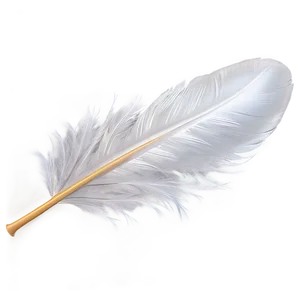 Angelic White Feather Png Fqp82 PNG image