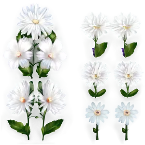 Angelic White Flowers PNG Epo82