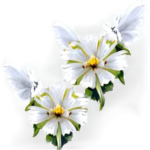 Angelic White Flowers PNG Phk