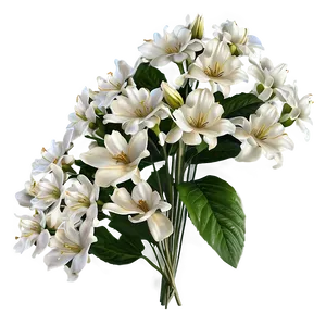 Angelic White Flowers PNG Qqx17
