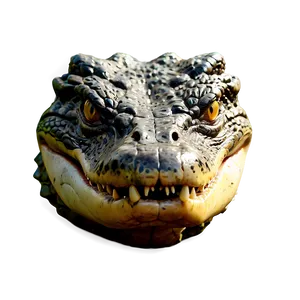 Angry Alligator Graphic PNG 43