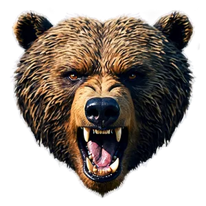 Angry Bear Face Picture Png Rav PNG image