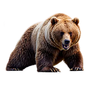 Angry Bear PNG 15