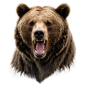 Angry Bear PNG Ert89