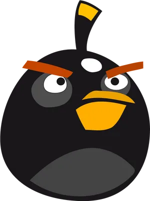 Angry Bird Black Character Illustration PNG image