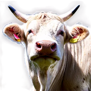 Angry Cow Face PNG Mlu89 PNG
