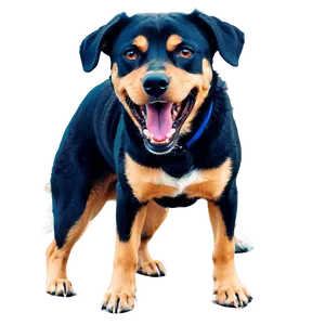 Angry Dog Barking Png 06272024 PNG image