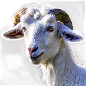 Angry Goat Png Fau PNG image