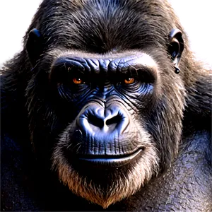 Angry Gorilla Face Png 05212024 PNG image