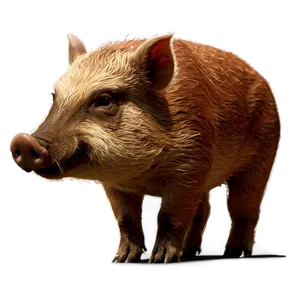 Angry Hog PNG 06252024