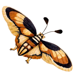 Angry Mothra Roar PNG 63