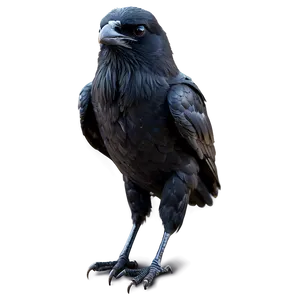 Angry Raven Mascot PNG Bxh PNG