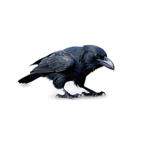 Angry Raven Mascot Png Nur PNG image