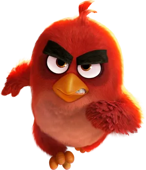 Angry Red Bird Character