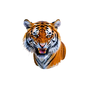 Angry Tiger Expression Png Ghf43 PNG image