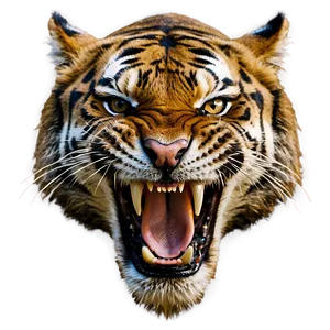 Angry Tiger Roar PNG 06252024 PNG