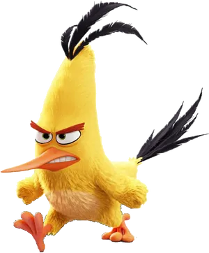 Angry Yellow Bird Cartoon Character PNG image