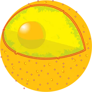 Animal_ Cell_ Structure_ Illustration PNG image