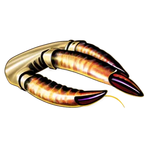 Animal Claws Illustration Png 06212024 PNG image