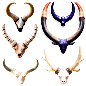 Animal Horns Collection Png Tlx PNG image