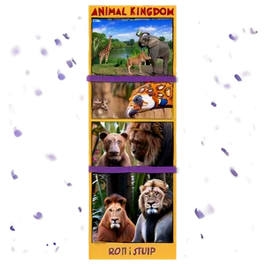 Animal Kingdom Photo Strip Png 06282024 PNG image