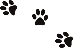 Animal Paw Prints Pattern PNG