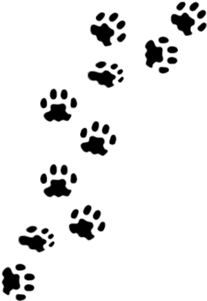 Animal Paw Prints Pattern PNG